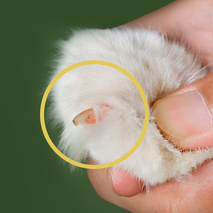 Professional Nail Clippers for Cats & Dogs with Ergonomic Handle | Safe & Easy Grooming for Stress-Free Nail Care