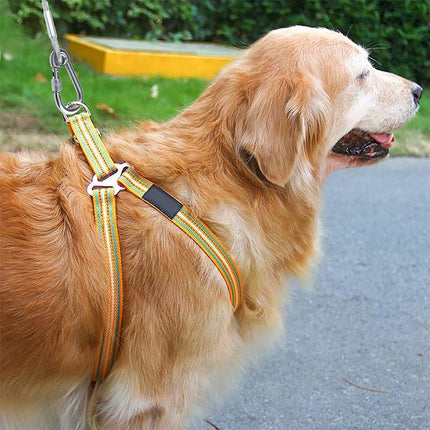 Chew Proof Dog Leash, PVC Coated Steel Yard Dog Leash for Outdoor