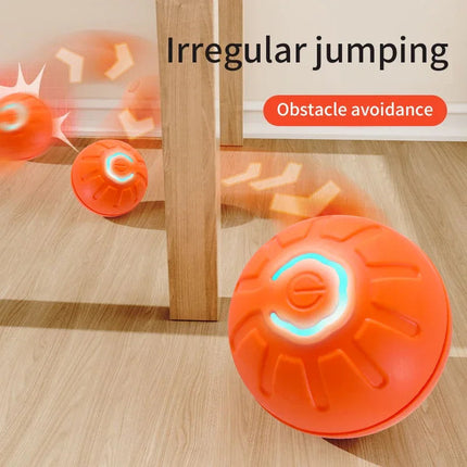 Smart Interactive Moving Ball Toy for Pets with USB Rechargeable Features | Durable Fun for Active Play and Exercise