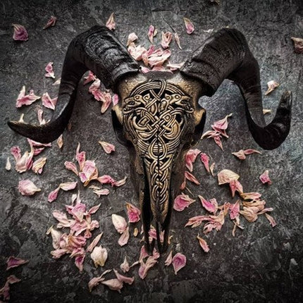 Ram Skull, Hand Carved Resin Skull Decor with Removable Horns