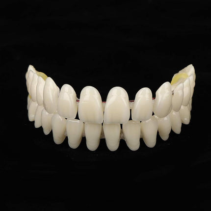 Vepine Denture Care Collection | 280pcs Resin False Teeth Set for Teaching & Patient Use | Realistic Dental Models for Oral Health Education