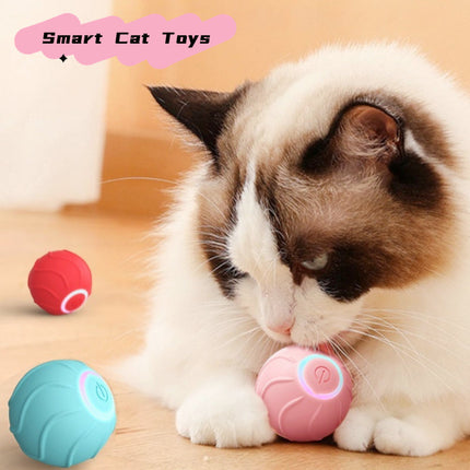 Smart USB Rolling Ball Toy for Cats with Automatic Rolling Action | Interactive Play for Endless Fun and Exercise