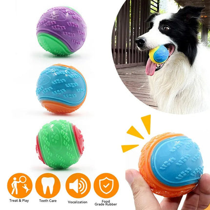 Dog Molar Ball TPR Toy for Dogs with Durable Design | Promotes Dental Health and Interactive Play