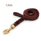 Durable First Layer Leather Dog Leash for Large Breeds | Elegant Dark Brown Design for Strength and Training