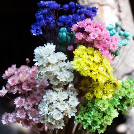 Small Chrysanthemum Car Pendant Perfume Bottle with Dried Flowers | Elegant Air Freshener for Vehicle Interior