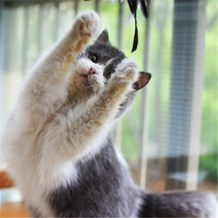 Funny Cat Stick with Flexible Wooden Handle & Telescopic Rod | Engaging Playtime Toy for Active Cats
