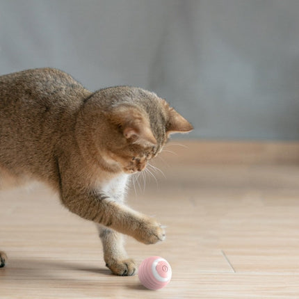 Automatic Bouncing Ball Cat Toy with Rechargeable Battery | Interactive Silicone Toy for Endless Fun