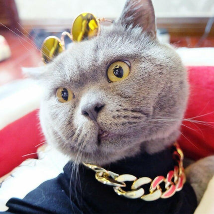 Gold Chain Collar for Dogs – image 6