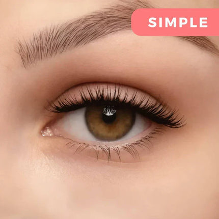 Natural Lashes in 3 Styles – image 6
