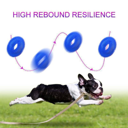 Dog Toy Ball with Whistle, Dog Chew Toys for Fetch – image 8