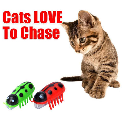 Cat Toys 2 Pack, Robot Bug Interactive Cat Toys