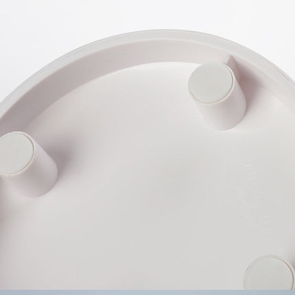 Ergonomic Cat Bowl with Diagonal Design for Cervical Vertebra Protection | Natural Eating Position for Cat Health