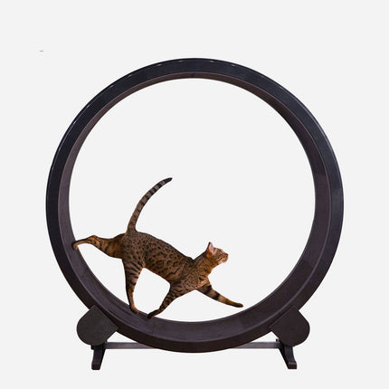 Cat Running Wheel Fitness Toy with Fashion Minimalist Design | Durable Exercise Solution for Indoor Cats