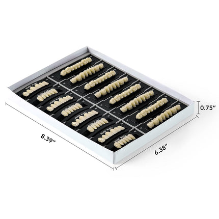 Vepine Dental Acrylic Resin Teeth | 112 Pcs Denture Set with Realistic A2 Shade | Perfect for Halloween & Daily