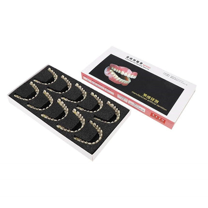 Vepine Denture Care Collection | 280pcs Resin False Teeth Set for Teaching & Patient Use | Realistic Dental Models for Oral Health Education