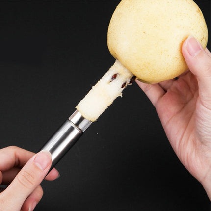 Stainless Steel Pineapple Peeler and Slicer with Ergonomic Handle | Efficient Tool for Easy Pineapple Preparation