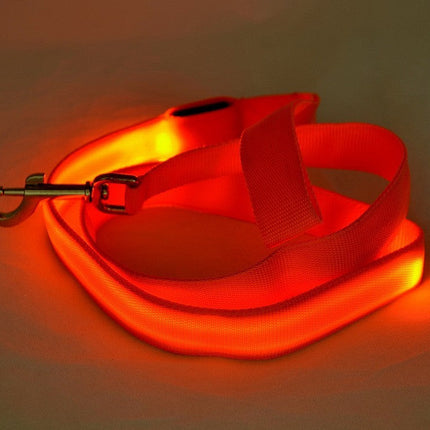 LED Luminous Dog Leash with Rechargeable Lights | Safe Night Walking for All Dog Breeds