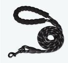 Reflective Dog Leash with Ergonomic Handle | Durable Nylon for Safety and Comfort on Walks