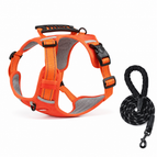 Orange / XS (2.5-5KG) / With reflective rope