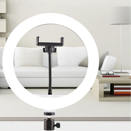 Ring Light with Tripod Stand, 10 Inch LED Photography Light with Phone Holder – image 5