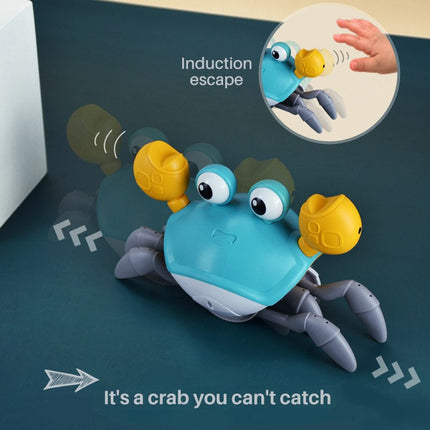Wind Up Crab Bath Toys, Crawling Crab Toy – image 5