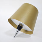 TYPE-C Plastic 2000mAh / Gold Tricolor Light