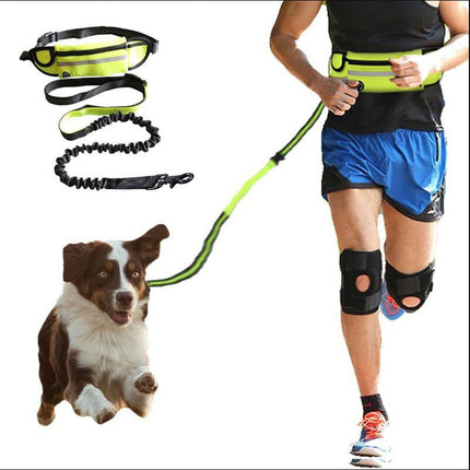 Hands-Free Dog Leash & Training Belt with Adjustable Bungee | Secure Control for Active Walks and Runs
