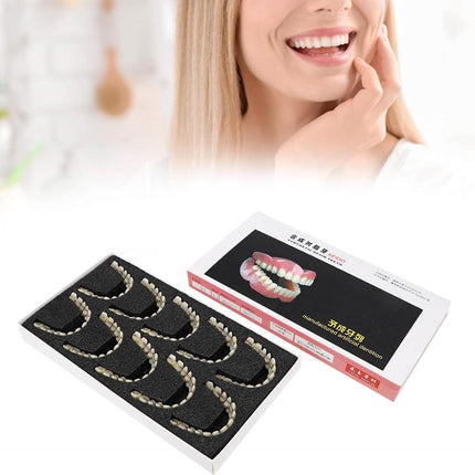 Vepine Denture Care Collection | 280pcs Resin False Teeth Set for Teaching & Patient Use | Realistic Dental Models for Oral Health Education