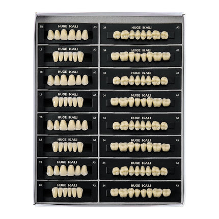 Vepine Dental Acrylic Resin Teeth | 112 Pcs Denture Set with Realistic A2 Shade | Perfect for Halloween & Daily