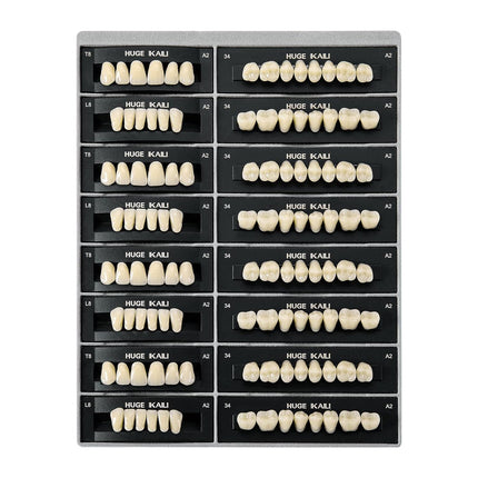Vepine Dental Acrylic Resin Teeth | 112 Pcs Denture Set with Realistic A2 Shade | Perfect for Halloween & Daily