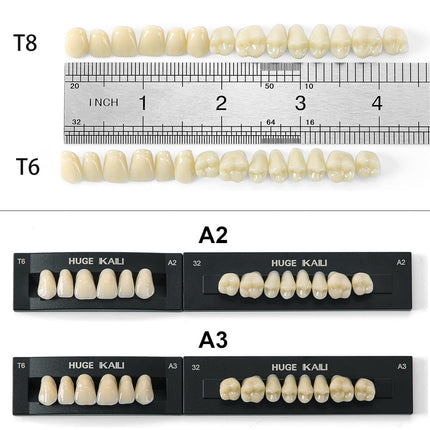 Vepine Dental Acrylic Resin Teeth | 112 Pcs Denture Set with Realistic A2 Shade | Perfect for Halloween & Daily