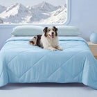 Cool Comfort | Premium Cooling Dog Blanket for Small & Medium Dogs with Q-max > 0.4 | Washable Calming Mat for Couches & Beds