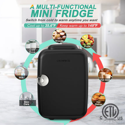 Vepine Refrigerator Mini Fridge with Cooling & Heating | 4L Capacity for Medication, Skincare, Food, & Dorm Use