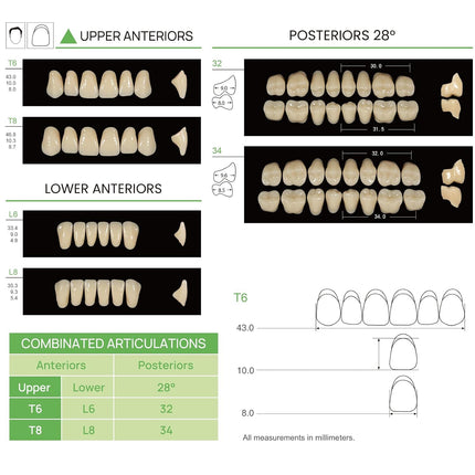 Vepine Dental Acrylic Resin Teeth | 112 Pcs Denture Set with Realistic A2 Shade | Perfect for Halloween & Daily