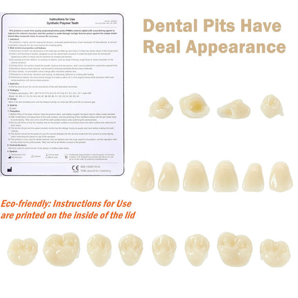 Vepine Dental Acrylic Resin Teeth | 112 Pcs Denture Set with Realistic A2 Shade | Perfect for Halloween & Daily