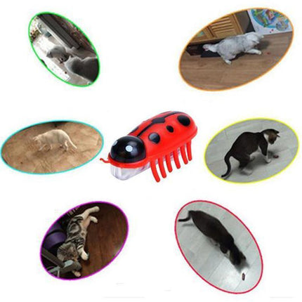 Cat Toys 2 Pack, Robot Bug Interactive Cat Toys – image 8