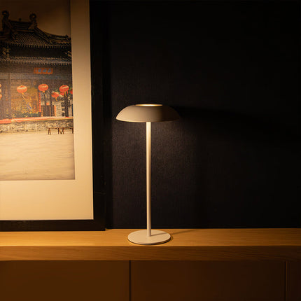 Iron Elegance Lamp with Touch Control and USB-C Rechargeable Battery | Stylish LED Lighting for Home Ambiance