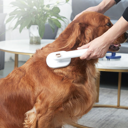 Self-Cleaning Pet Brush with High-Density Needle Comb | Gentle Grooming for Dogs and Easy Cleanup