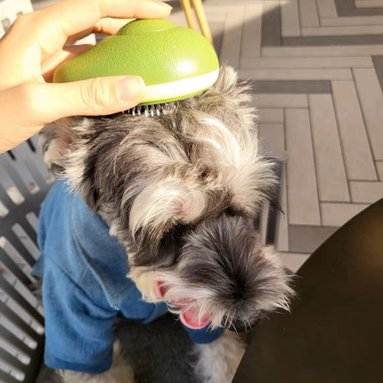 Avocado-Shaped Grooming Brush for Cats & Dogs with Stainless Steel Needles | Reduces Shedding & Boosts Blood Circulation