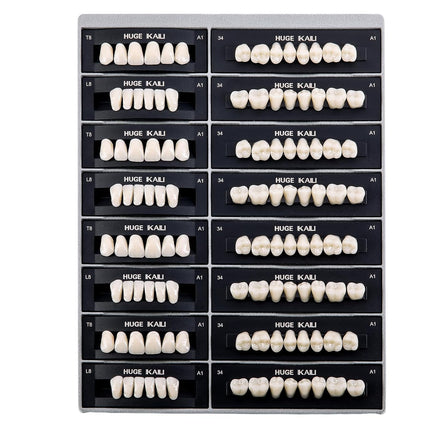 Vepine Dental Acrylic Resin Teeth | 112 Pcs Denture Set with Realistic A2 Shade | Perfect for Halloween & Daily
