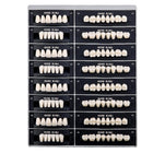 Vepine Dental Acrylic Resin Teeth | 112 Pcs Denture Set with Realistic A2 Shade | Perfect for Halloween & Daily