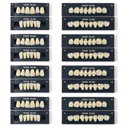 Vepine Dental Acrylic Resin Teeth | 112 Pcs Denture Set with Realistic A2 Shade | Perfect for Halloween & Daily