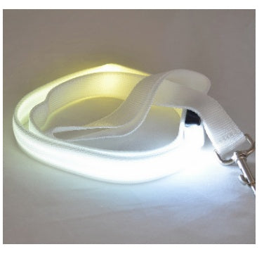 LED Luminous Dog Leash with Rechargeable Lights | Safe Night Walking for All Dog Breeds