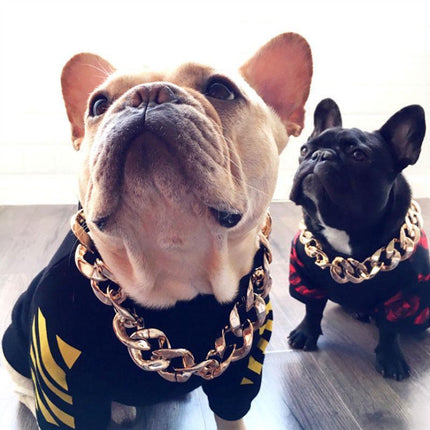 Pet Jewelry Dog Chain Necklace in Rose Gold and Gold – image 7