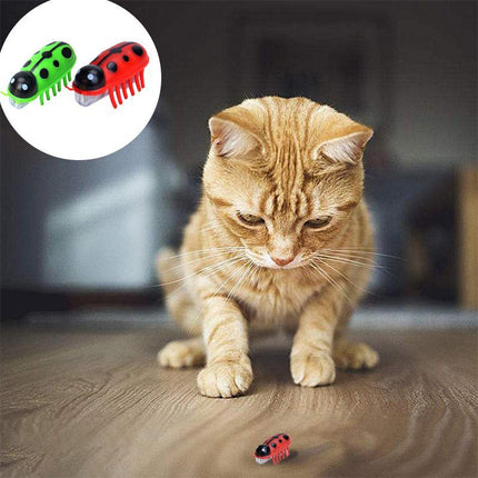 Cat Toys 2 Pack, Moving Cat Toy with Chewable Cover and Unpredictable Movement – image 5