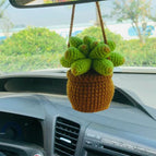 Succulent