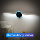 Smart LED Cabinet Light with Motion Sensor & Clock Timer | Multifunctional Lighting for Home Convenience