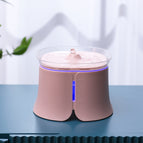 Pink / 220V US