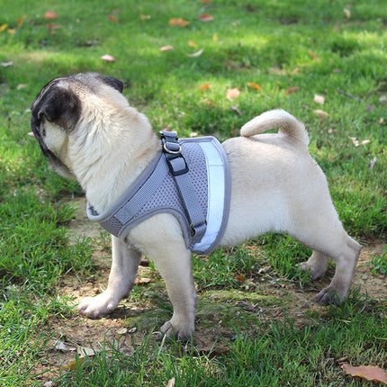 Pet Chest Strap with Adjustable Ergonomic Design | Comfortable Polyester Harness for All Size Dogs