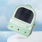 Mint green leather bag